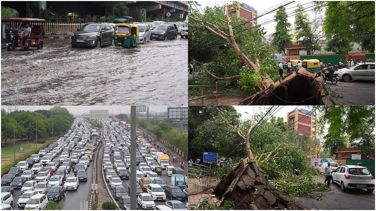 PTI/Tribhuvan Tiwari : Heavy rainfall and strong winds led to traffic congestion and tree uprooting in Delhi-NCR 