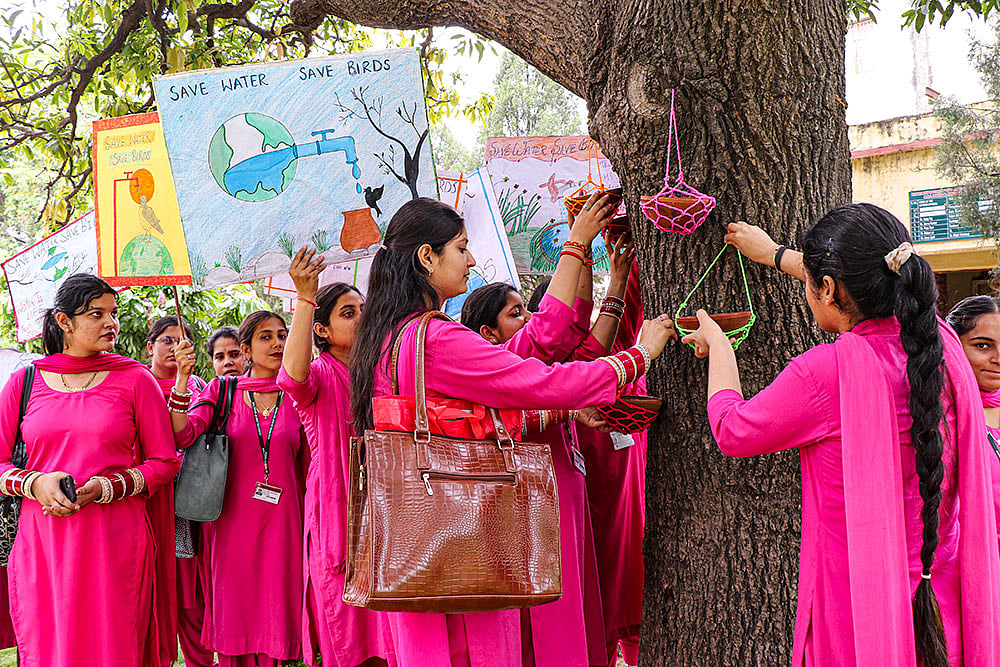 Save Water, Save Birds campaign