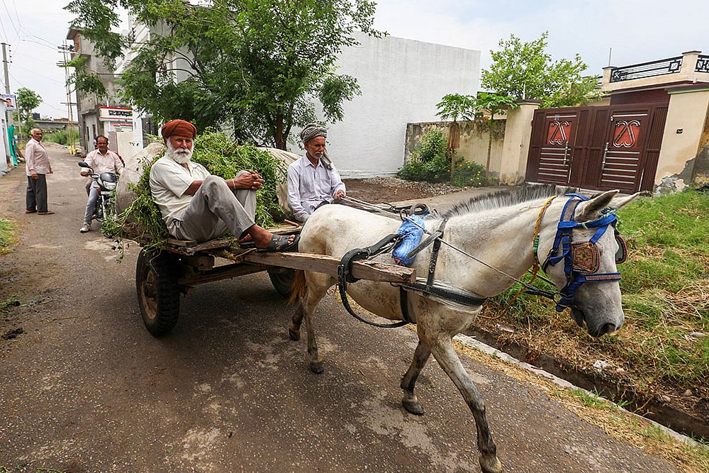People move to safer place in Jammu