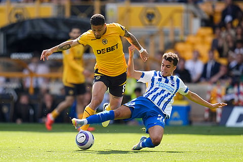 Premier League 2024-25: Wolverhampton Wanderers and Brighton 