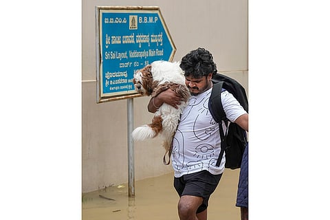 Rains in Bengaluru