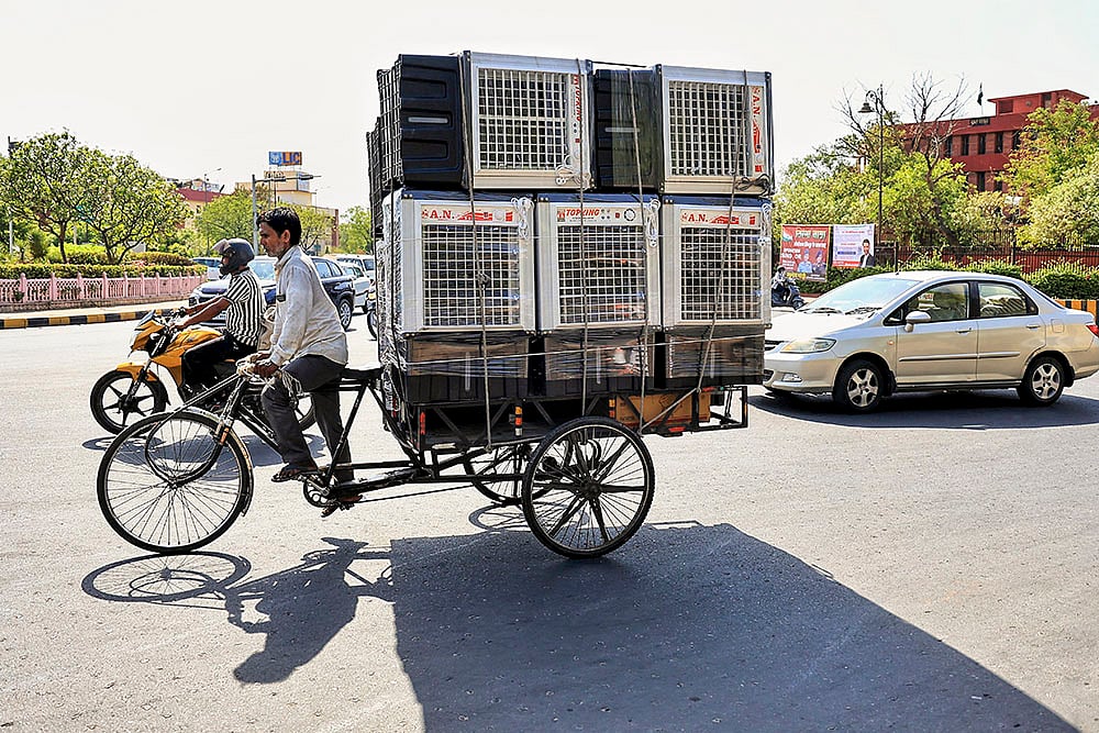 North India weather Summer season in Jaipur