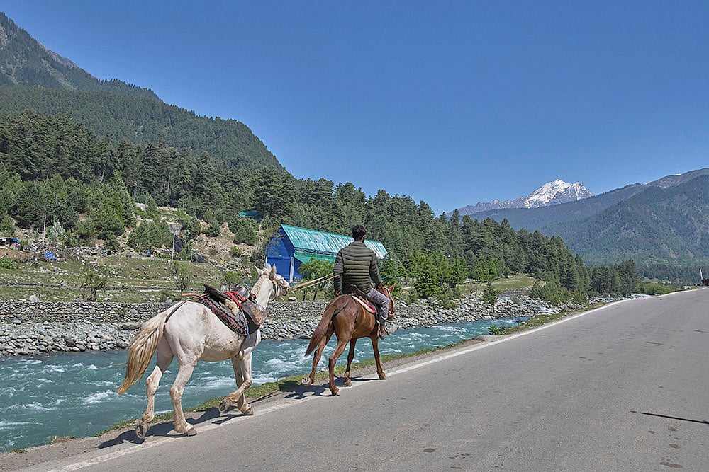 India Kashmir Pahalgam aftermath Tourism_5