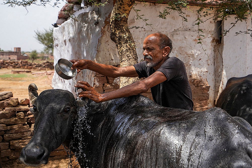 Women-led water revolution in Rajasthans Karauli_Lajja Ram, a former dacoit