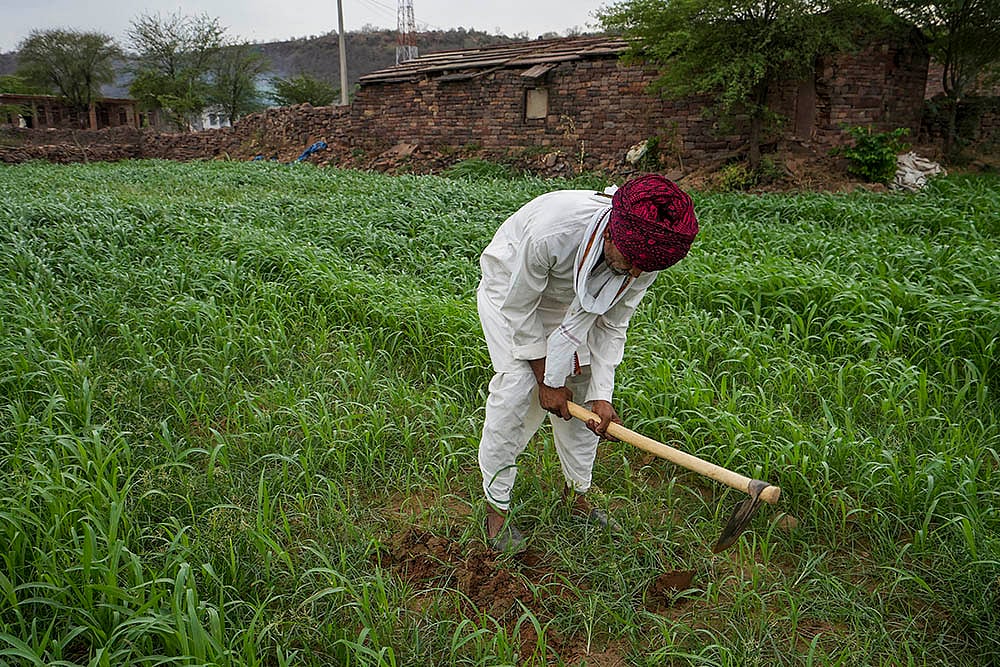 Women-led water revolution in Rajasthans Karauli_Jagdish, a former dacoit