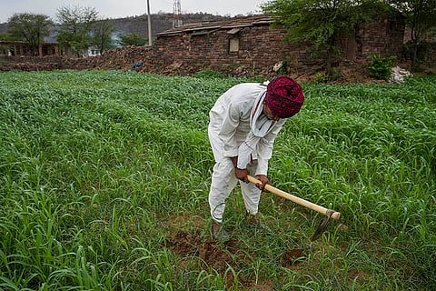 Karauli's Water Revolution