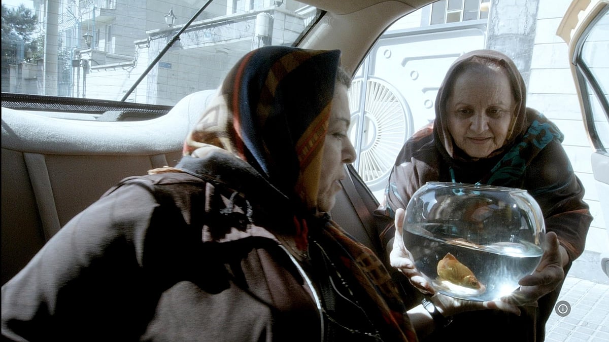 Taxi Still