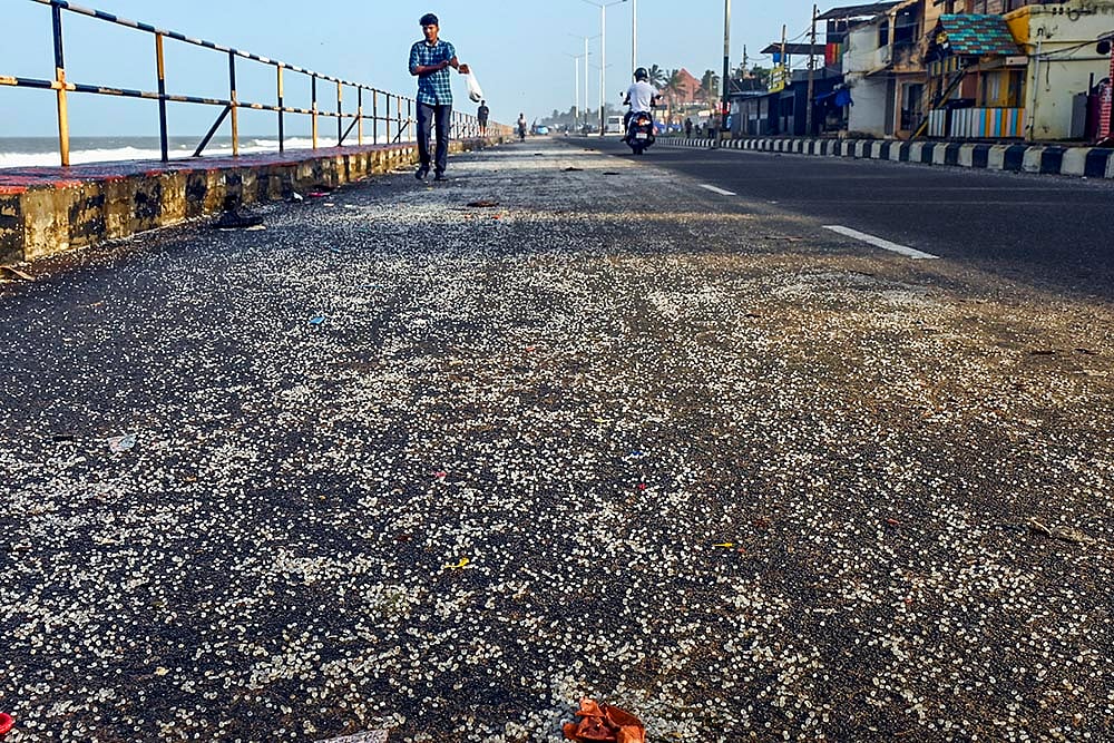 | Photo: PTI : Polyethylene granules spilled in Thiruvananthapuram