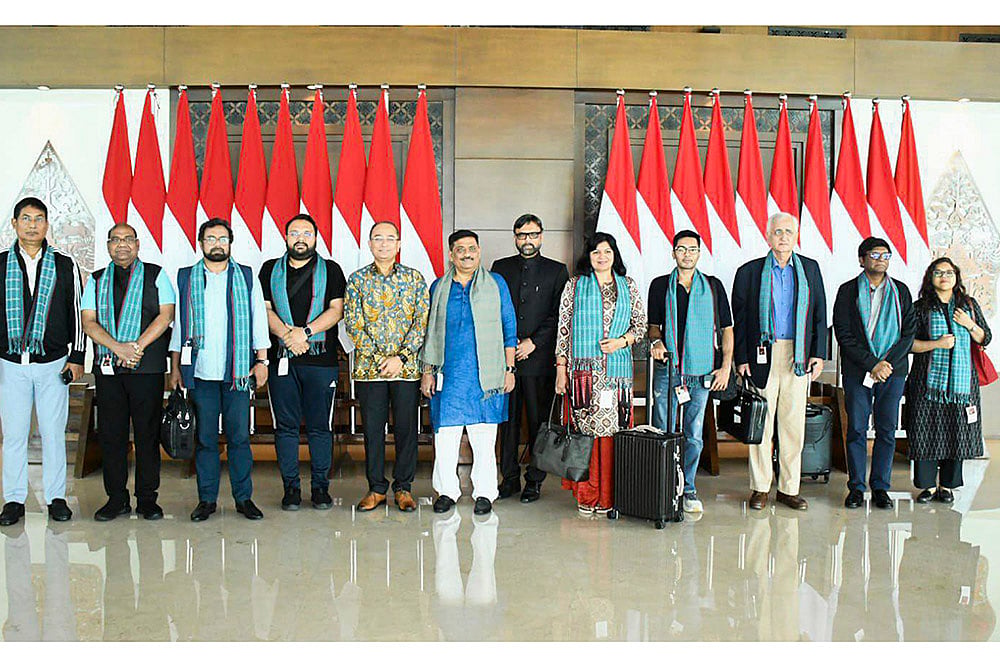 Multi-party delegaton in Indonesia