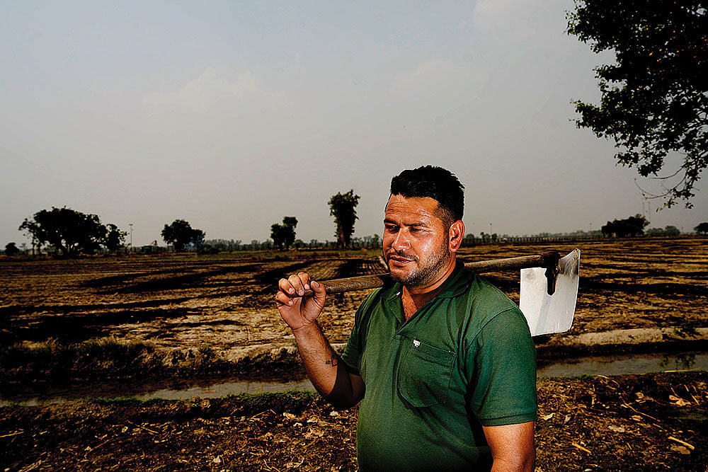 Gurvinder Singh of Daoke, Amritsar, says farmers like him shared fodder
