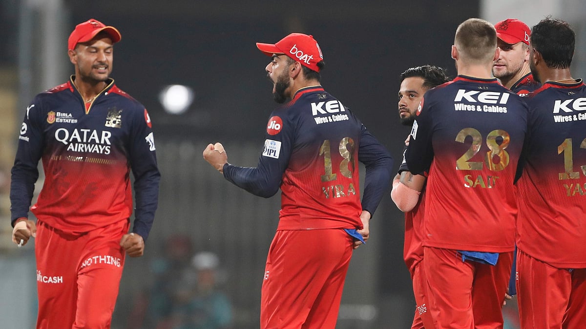 | Photo: AP : Royal Challengers Bengaluru players celebrate the dismissal of Punjab Kings' Musheer Khan during the IPL 2025 Qualifier 1 match.