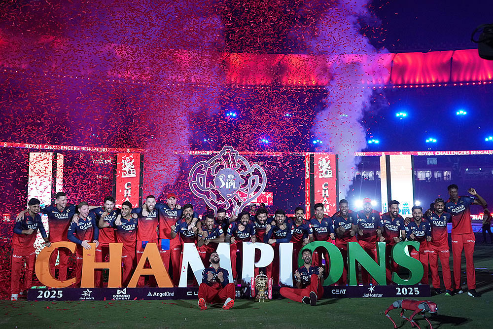 | Photo: AP/Ajit Solanki : IPL Final RCB vs PBKS