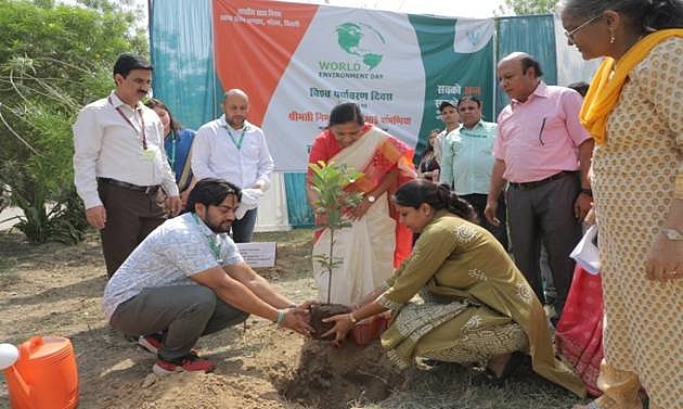 Sapling Plantation