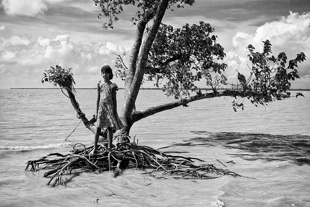 The Hungry Tide, July 2016, Ghoramara Island, Digital Photograph