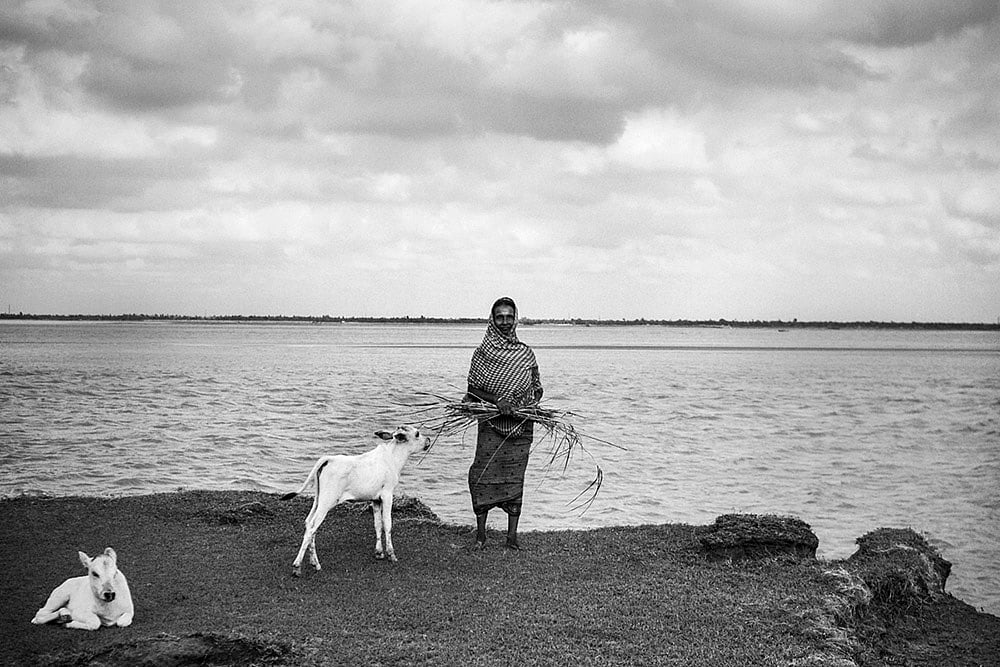 The Hungry Tide, July 2016, Ghoramara Island, Digital Photograph