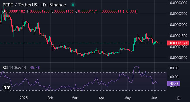 Pepe (PEPE) Price Graph