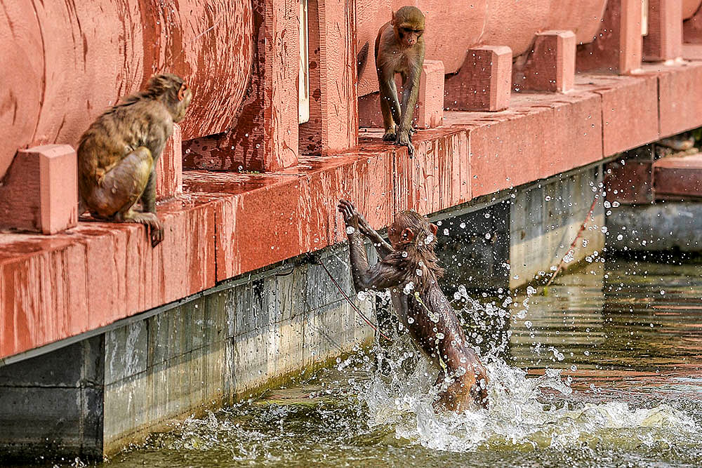 North India Summer weather: Hot summer day in Delhi