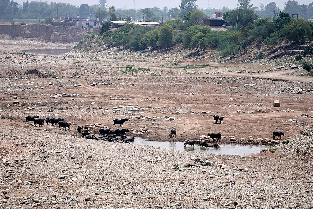 North India Summer weather: Hot summer day in Jammu