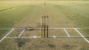 File : Representative image