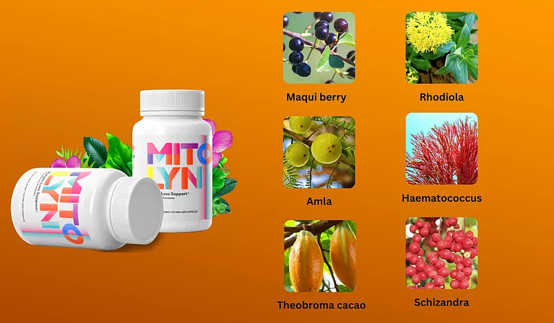 Mitolyn Ingredient