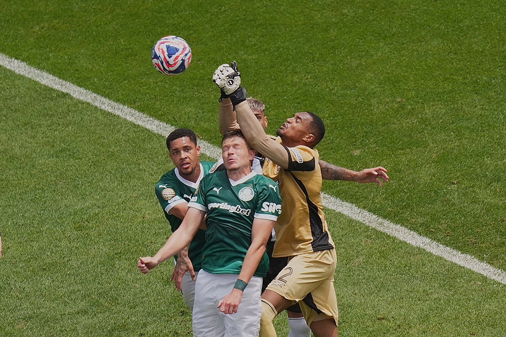 Palmeiras Vs Botafogo FIFA Club World Cup 2025 Round Of 16 match in Philadelphia_Bruno Fuchs