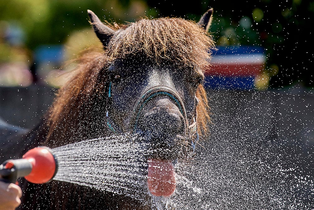 Severe heatwave hits Europe: 
