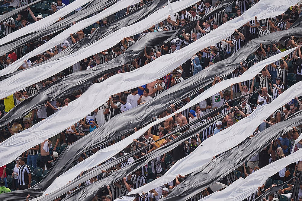 FIFA Club World Cup round of 16 Best Photos: Palmeiras vs Botafogo match_Fans of Botafogo 