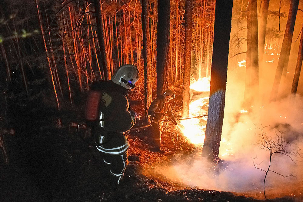 Wildfires photos from around the world: Wildfires in Russia