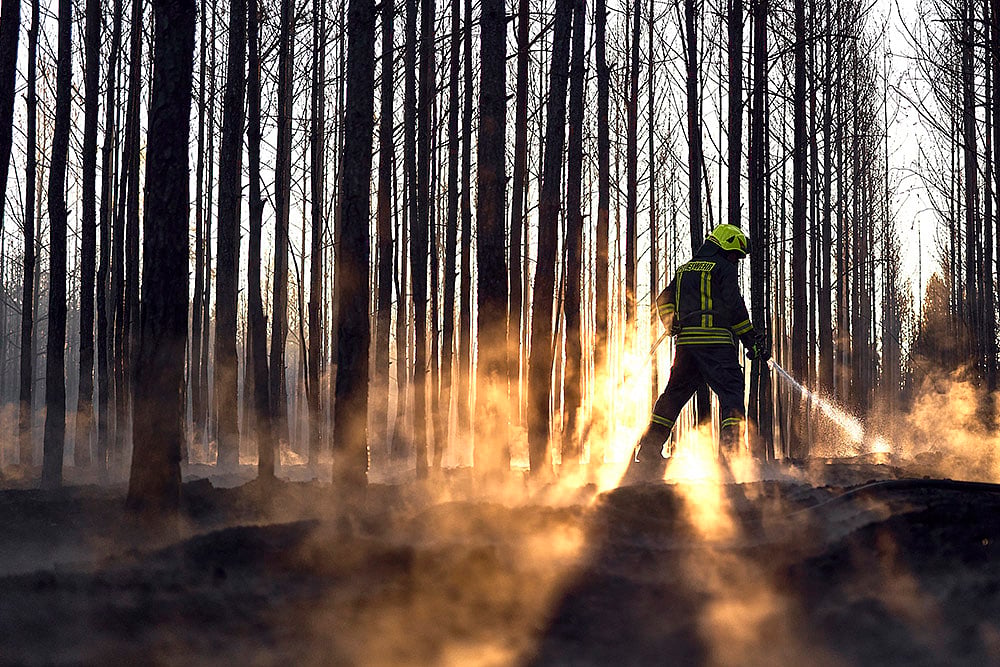 Wildfires photos from around the world: Germany wildfires