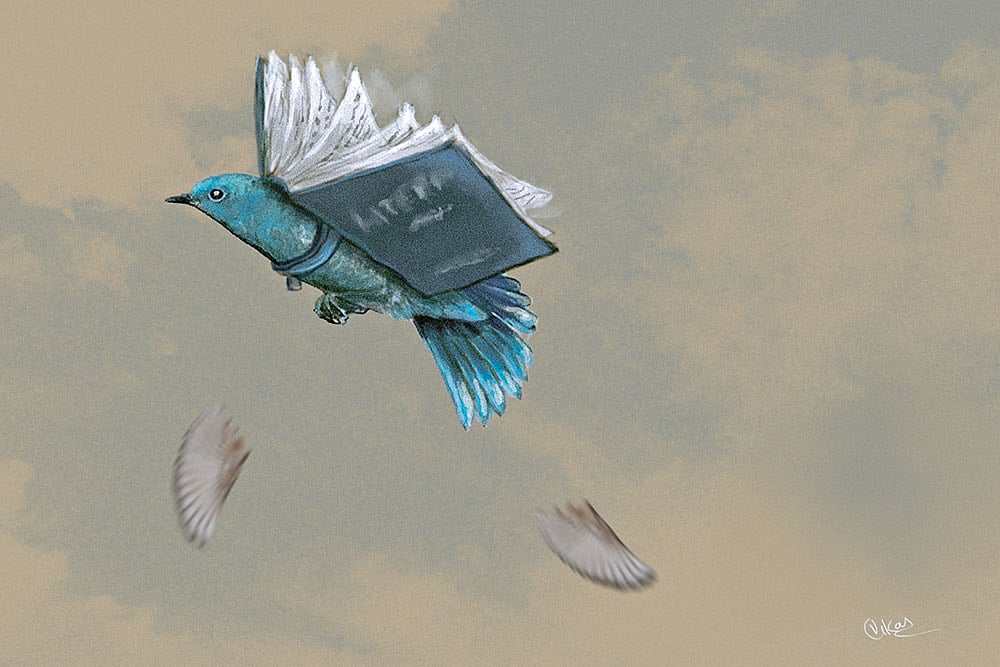 Illustration: Vikas Thakur