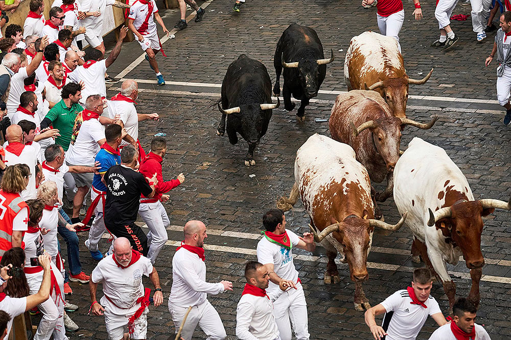Spain Running Of The Bulls; San Fermín Festival 2025 photos_2