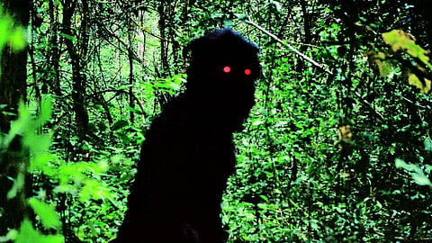 Uncle Boonmee Who Can Recall His Past Lives