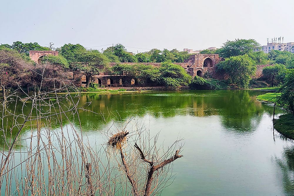 Delhis historic Satpula Lake restored