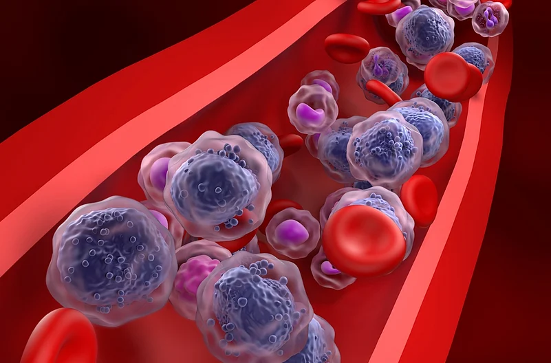 Blood Cells