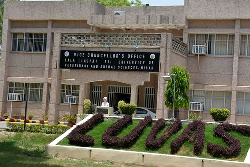 Outlook-ICARE Rankings 2025: Top 10 Veterinary Universities