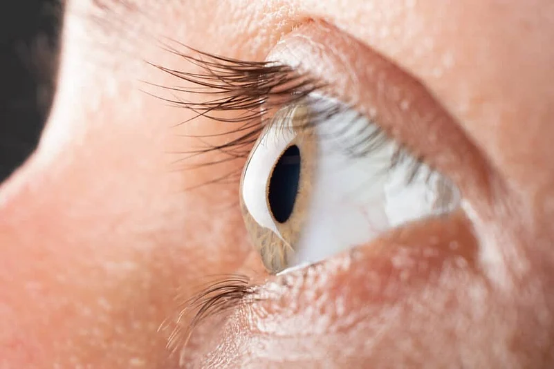 Cornea and the Human Eye