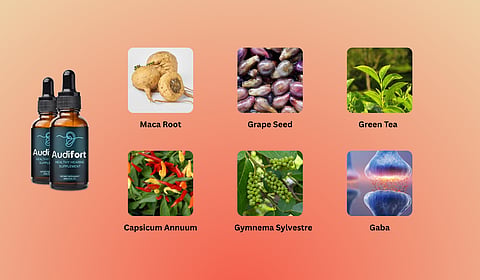 Ingredients Used In Audifort