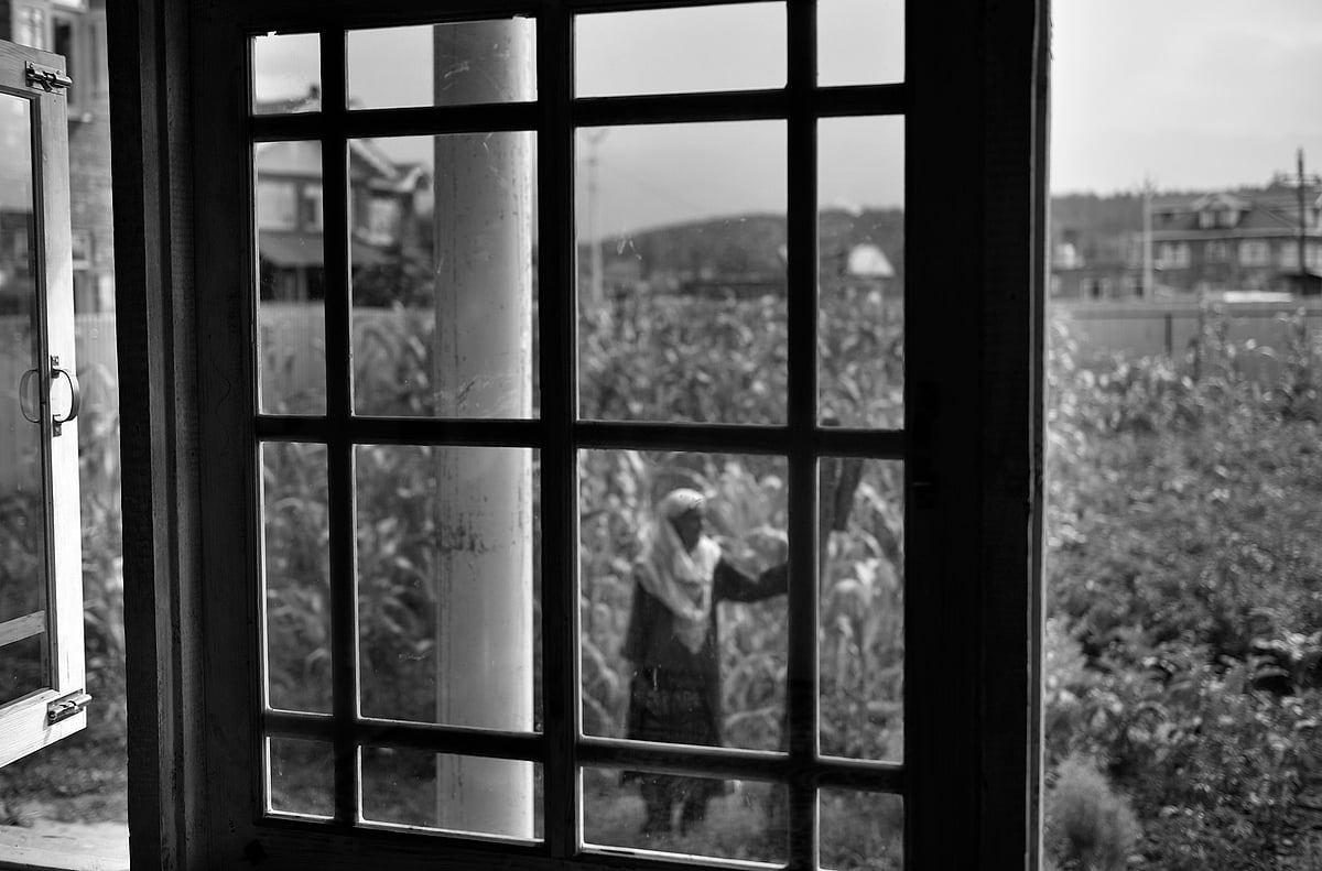Rafeeqa lives with her only son who was just a year old when her husband went missing. Her husband was a labourer and had gone out for work and never return. Rafeeq never remarried, she raised her son on her own. | Yasir Iqbal
 - Yasir Iqbal