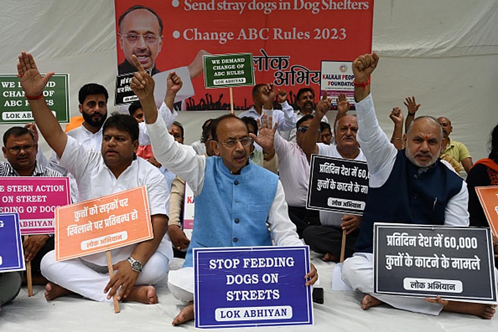 Stray dog menace in Delhi-NCR_BJP leader Vijay Goel