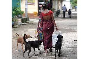 | Photo: Tribhuvan Tiwari/Outlook : Stray dogs trail a woman carrying food supplies in Delhi.
