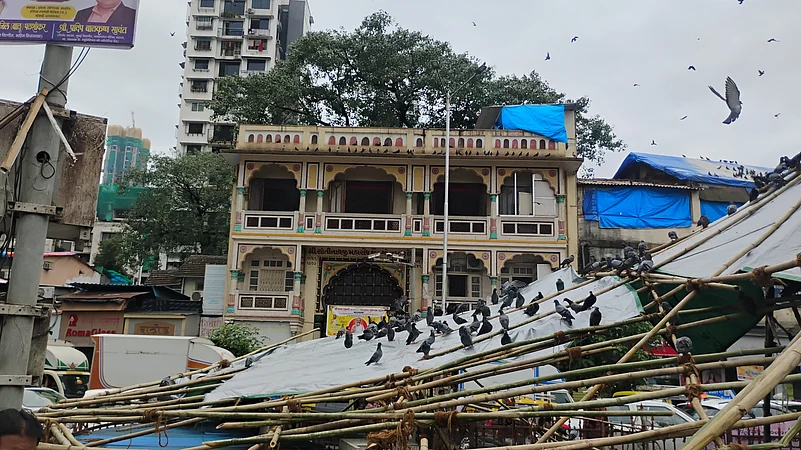 mumbai dadar pigeon