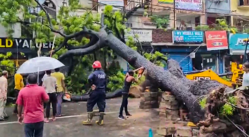 Man killed as tree falls in kalkaji amid rains