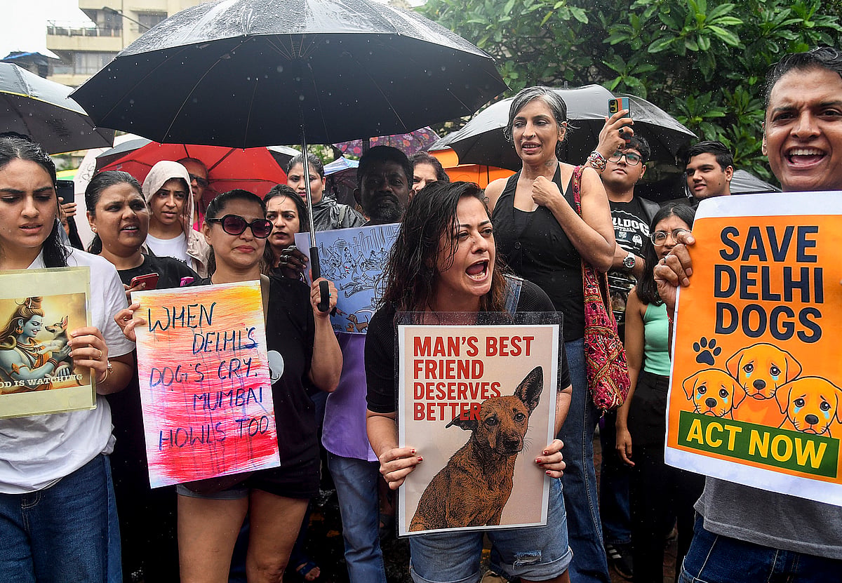 - : TV actor Mona Vasu, front center, and activists of various animal rights organisations protest against the recent order by the Supreme Court to authorities in Delhi-National Capital Region (NCR) to start picking up stray dogs from all localities "at the earliest"