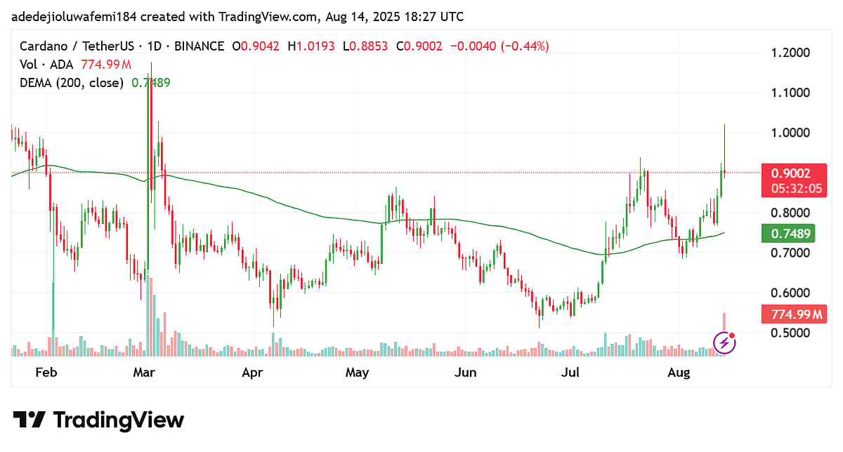 Trading View