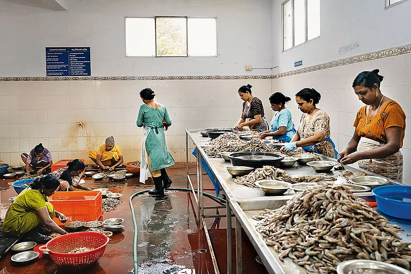 Workers clean shrimp in Kumbalangi, Kerala