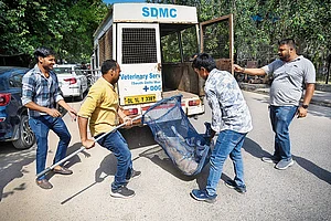 | Photo: Getty Images : Catch Them: Stray dog catching drive begins in Daryaganj, Delhi