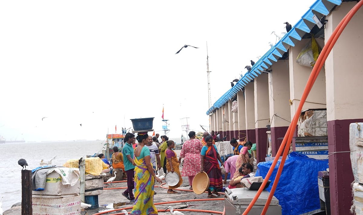 Photo By - Dinesh Parab : For generations, Sassoon Dock has been a hub not only of commerce but of culture. Its fish markets, ice plants, and processing godowns form the economic backbone of Mumbai’s Koli community. 