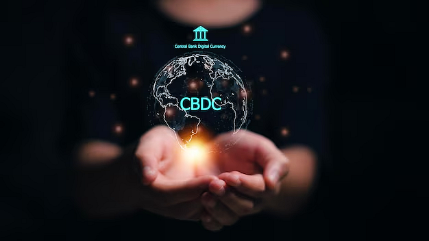 Central Bank Digital Currencies