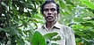 Kuttimathan Kani, who discovered Arogyapacha, died at 72