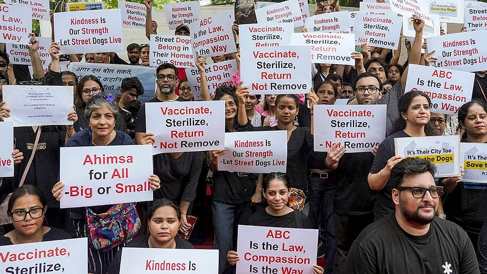 | Photo: PTI/Karma Bhutia : Protest against SC order on stray dogs issue (representational image)